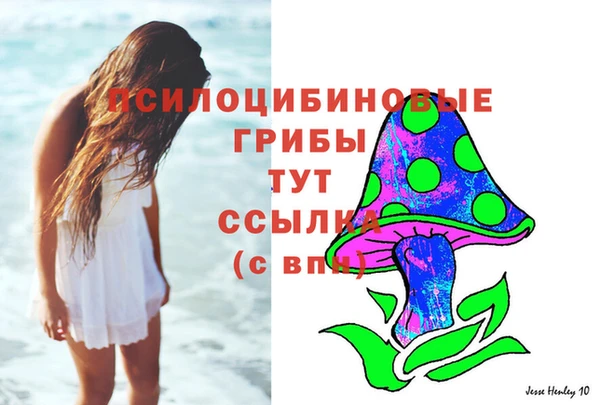 прущие крисы Абинск