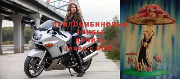 молекула духа Покачи